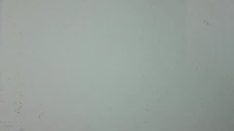 eyesight98 online show from 05.01.26