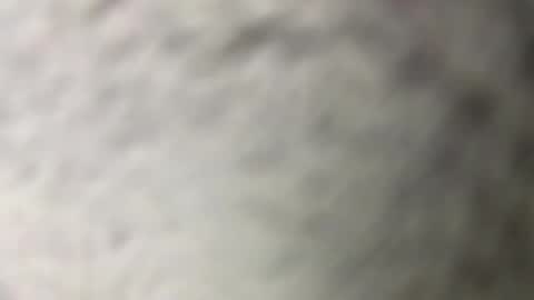 fabiolacal11 online show from 03.19.26