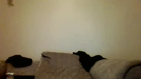 the masturbator online show from 03.07.25