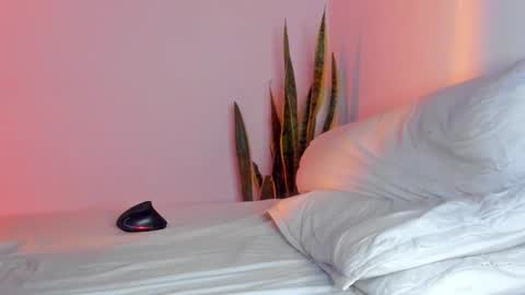 Snapshot of fabrizio_amery chatting on 11.09.25 - A N D E R online show from 11.09.25