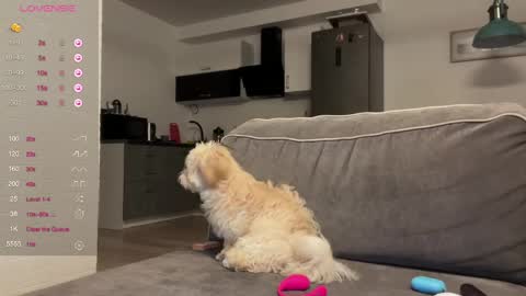 Bloom  online show from 04.22.26