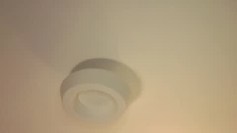 Snapshot of fairy_nine chatting on 10.31.25 fairy_nine online show from 10.31.25