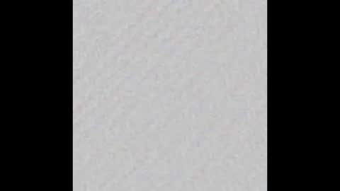 Falkor online show from 03.15.26