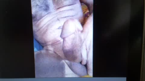 falushp online show from 01.23.25