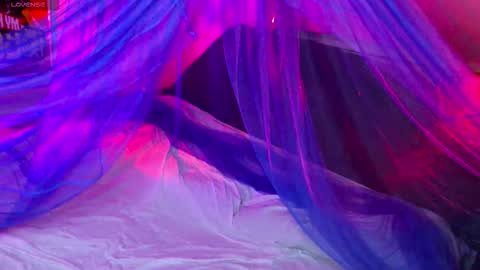 Fairy online show from 11.14.25