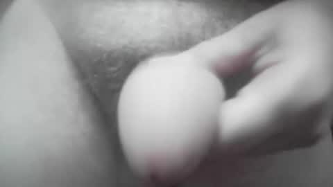 fapipa online show from 03.02.26