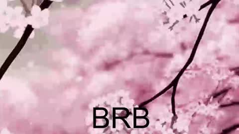 Snapshot of farahmantifel chatting on 10.10.25 Anna Scovich online show from 10.10.25