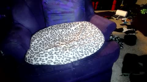 Snapshot of farrahfindom chatting on 10.08.25 Farrah online show from 10.08.25