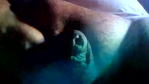 thiccDaddy online show from 02.09.26