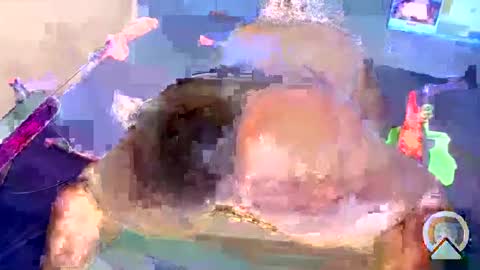 i like my pussy been toture online show from 01.04.25