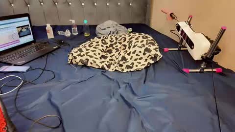 i like my pussy been toture online show from 02.19.25