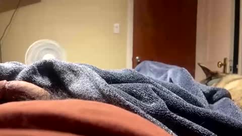 Snapshot of fatz71056 chatting on 12.23.25 fatz71056 online show from 12.23.25