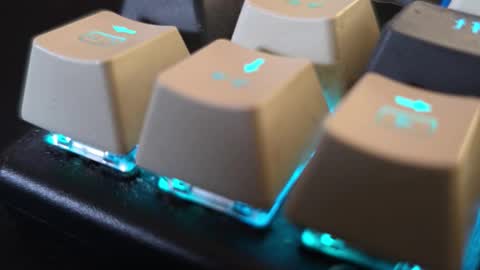 faverry online show from 11.14.25