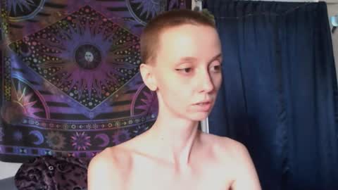 Mossfairy online show from 10.12.25