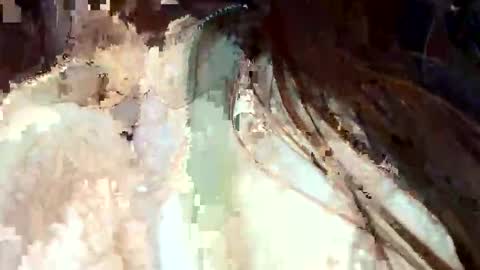 fdaops online show from 01.11.26