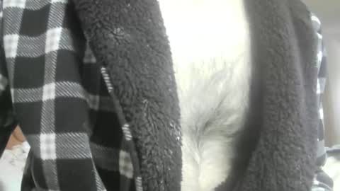 feardubh online show from 02.16.26