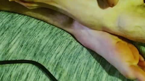 ask me online show from 01.30.25