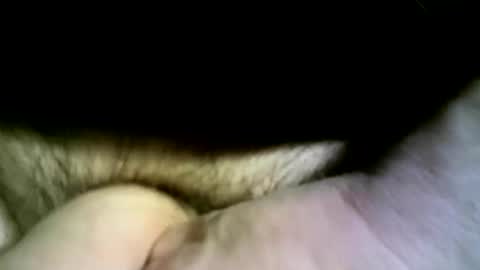 felicaste online show from 04.13.26