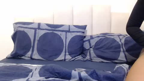 Snapshot of felinechic chatting on 12.25.24 FelineChic online show from 12.25.24