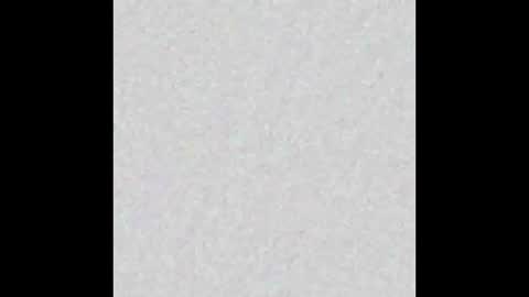 Allie North online show from 03.06.26