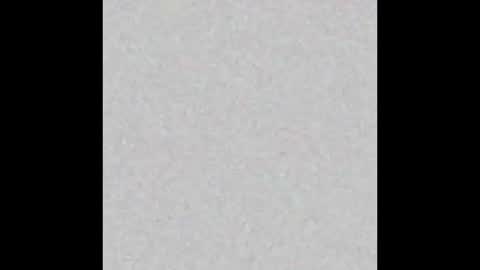 femboyfangs online show from 12.01.25