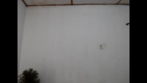 Snapshot of fernandez_latinblack chatting on 12.31.24 fernandez_latinblack online show from 12.31.24
