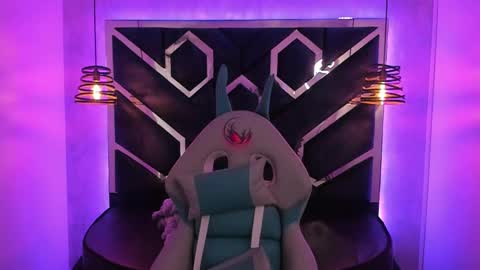   online show from 01.08.25