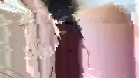 Snapshot of fifipan chatting on 10.25.25 fifipan online show from 10.25.25