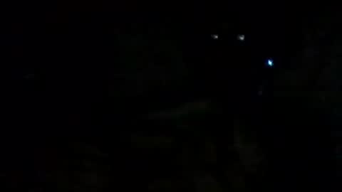 filippo online show from 09.14.25