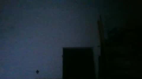 fine_nice online show from 10.11.25