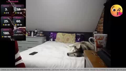 Fionna online show from 03.30.26