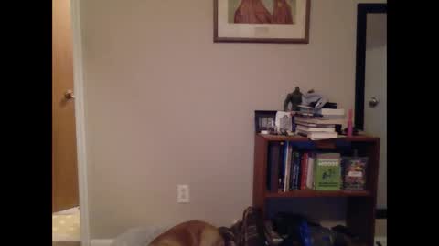 FitBit online show from 03.09.25