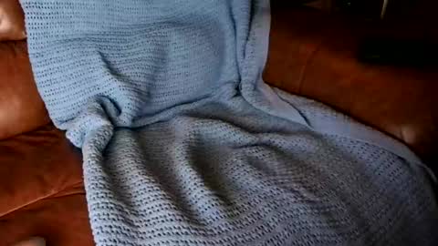 Snapshot of fitstevie1 chatting on 01.16.25 fitstevie1 online show from 01.16.25