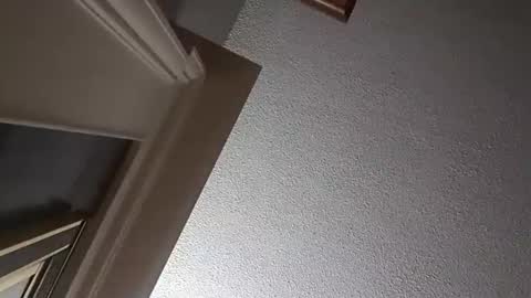 Have fun remembering u online show from 10.02.25