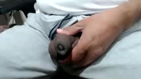 foster19422002 online show from 01.07.26