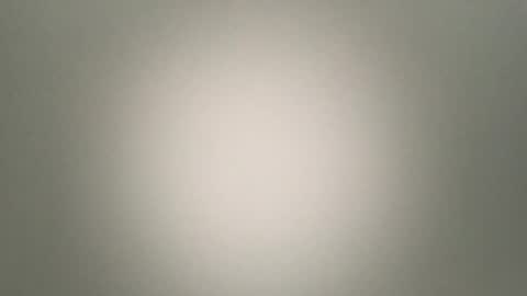 Snapshot of foxysausage chatting on 02.06.26 foxysausage online show from 02.06.26