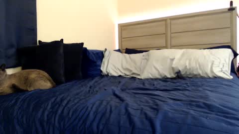 Angel online show from 12.05.24