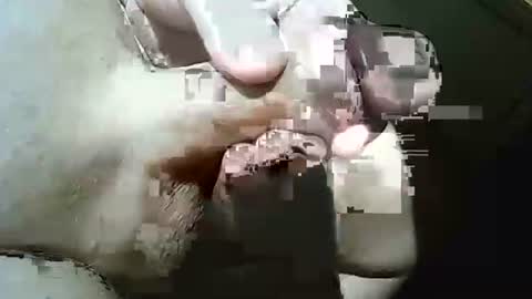 Frank online show from 03.29.26