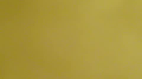 frankyb0yforeal online show from 02.24.26