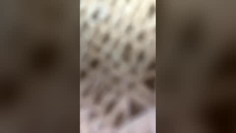 Snapshot of fransicus1988 chatting on 03.19.26 fransicus1988 online show from 03.19.26