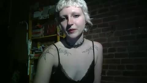 Snapshot of fred_reid chatting on 05.02.26 Lily Red online show from 05.02.26