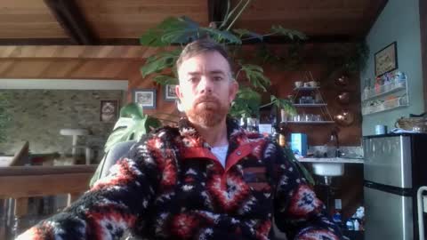 Freddy online show from 11.08.25