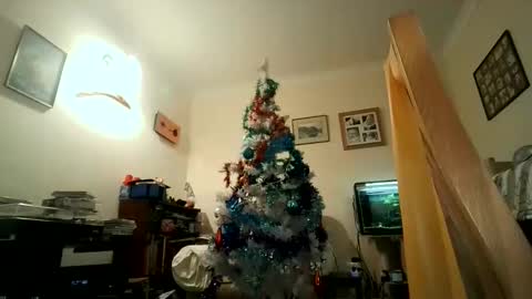 Snapshot of fredlittledick4 chatting on 12.05.24 Keith online show from 12.05.24