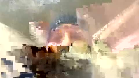 Horny french hard online show from 12.17.24