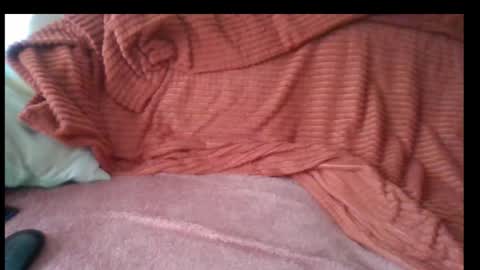 Bruchus online show from 03.04.25