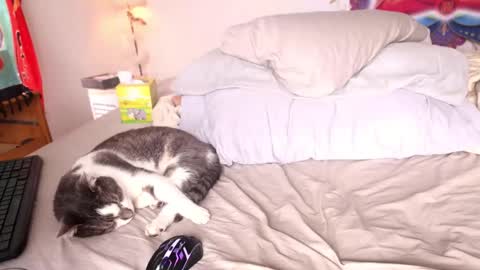 fuckmypussyplz1 online show from 02.01.25