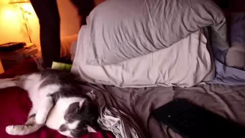 fuckmypussyplz1 online show from 02.03.25