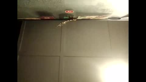 Warwick online show from 10.08.25