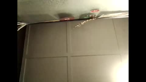 Warwick online show from 10.10.25