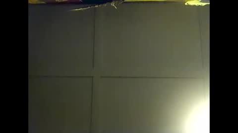 Warwick online show from 11.06.25